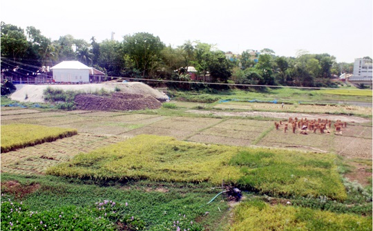 image-here